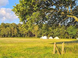 Camping field