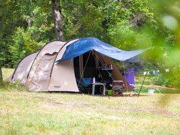 Large pitches surrounded by nature