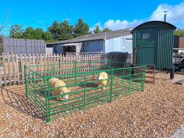 Shepherd’s hut and ‘fake’ sheep pen