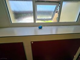 Window by urinals