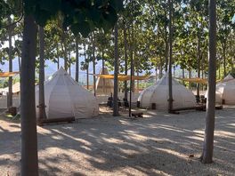 Tents