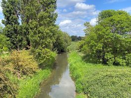 Riverside walk