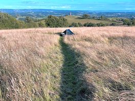 Path to my tent