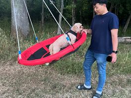 Swing