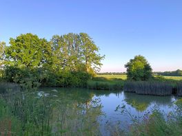 Pond