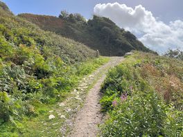 Steep