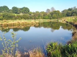 View down the lake.