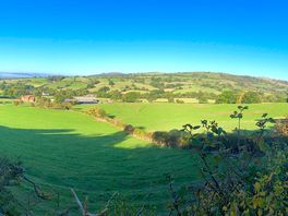A “ pano” from our walk one day .