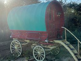 Wagon