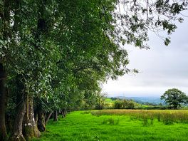 Nearby walks