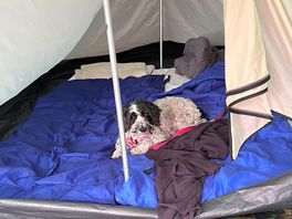 Enjoying the tent setup