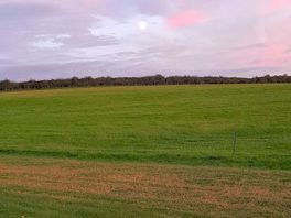 View from our campspot