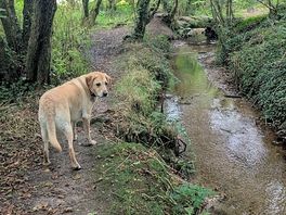 The camel trail - 2 mins down the road from camping site.