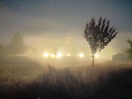 Mist