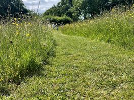 Pathway