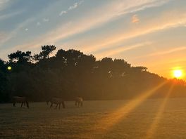 Lovely sunset on our last night
