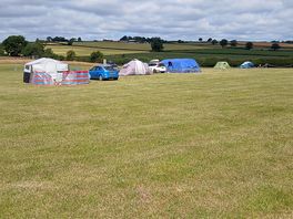 The site