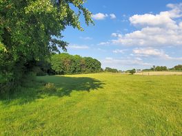 Field