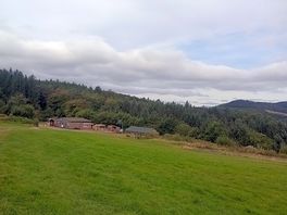 Camp site