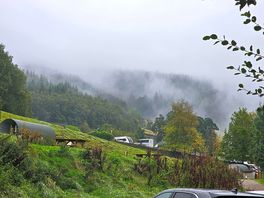 Morning mist
