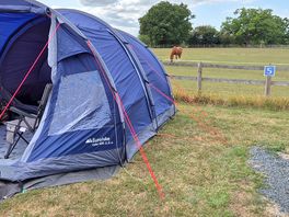 Horse field behind our tent. didn't hear them but seen them.
