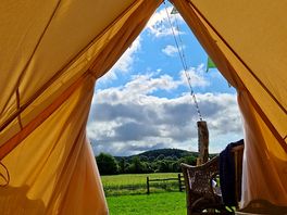 Morning view