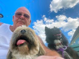 Both happy doggies with dad