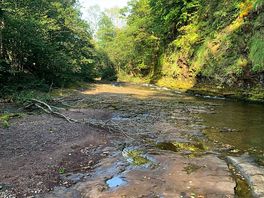 Through the woods to the river tawe