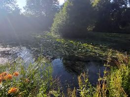 One of the ponds at the site