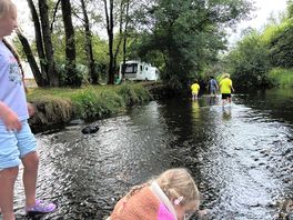 Kids loved it