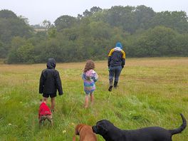 Rainy walk