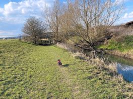 Alongside the river frome