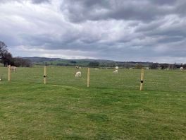 View from a different part of the site