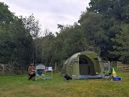 Home for the weekend