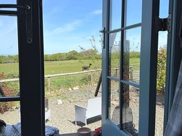 View from shepherds hut with an alpaca!