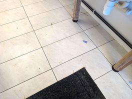 Toilet floor