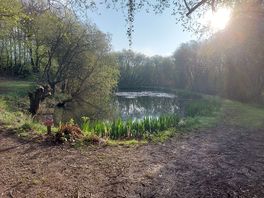 The fishing lake