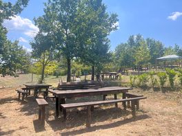 Camp