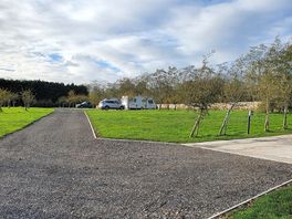 Good size spaced out pitches