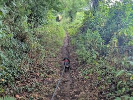 Lovely walk down road staff happy show us a map