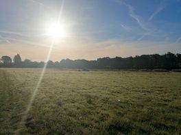 September sunshine