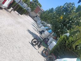 Piazzole
