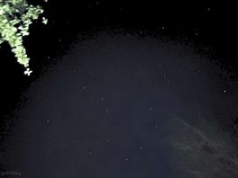 Stars