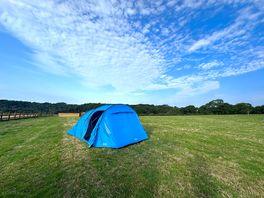 Alone in a beautiful field.
