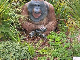 Friendly local!
