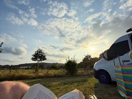 Reading a book by the cows