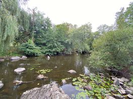 Local walk