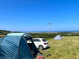 The view