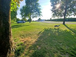 View from campsite