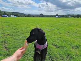 Really yummy onsite ice-cream!